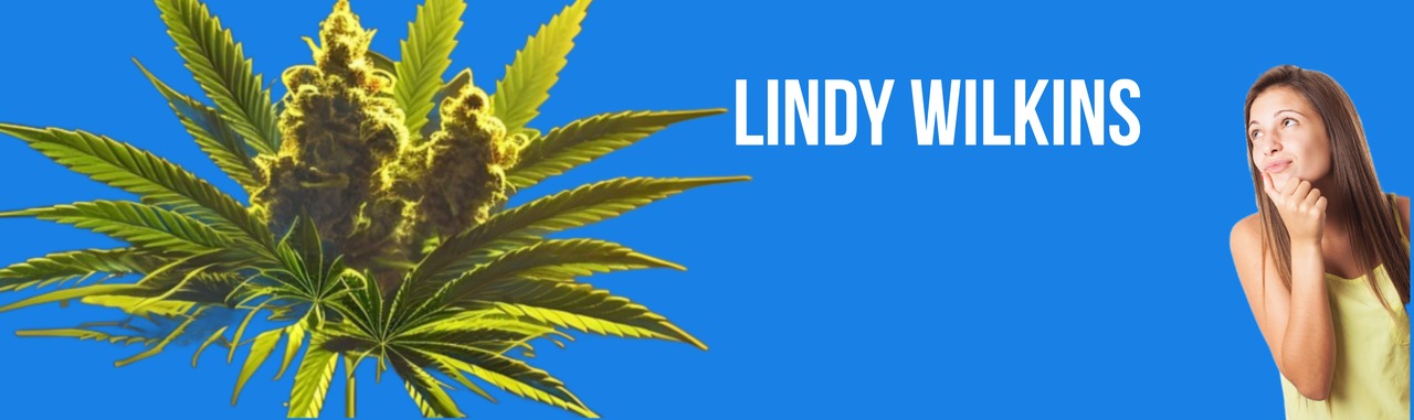 Lindys CBD Blog